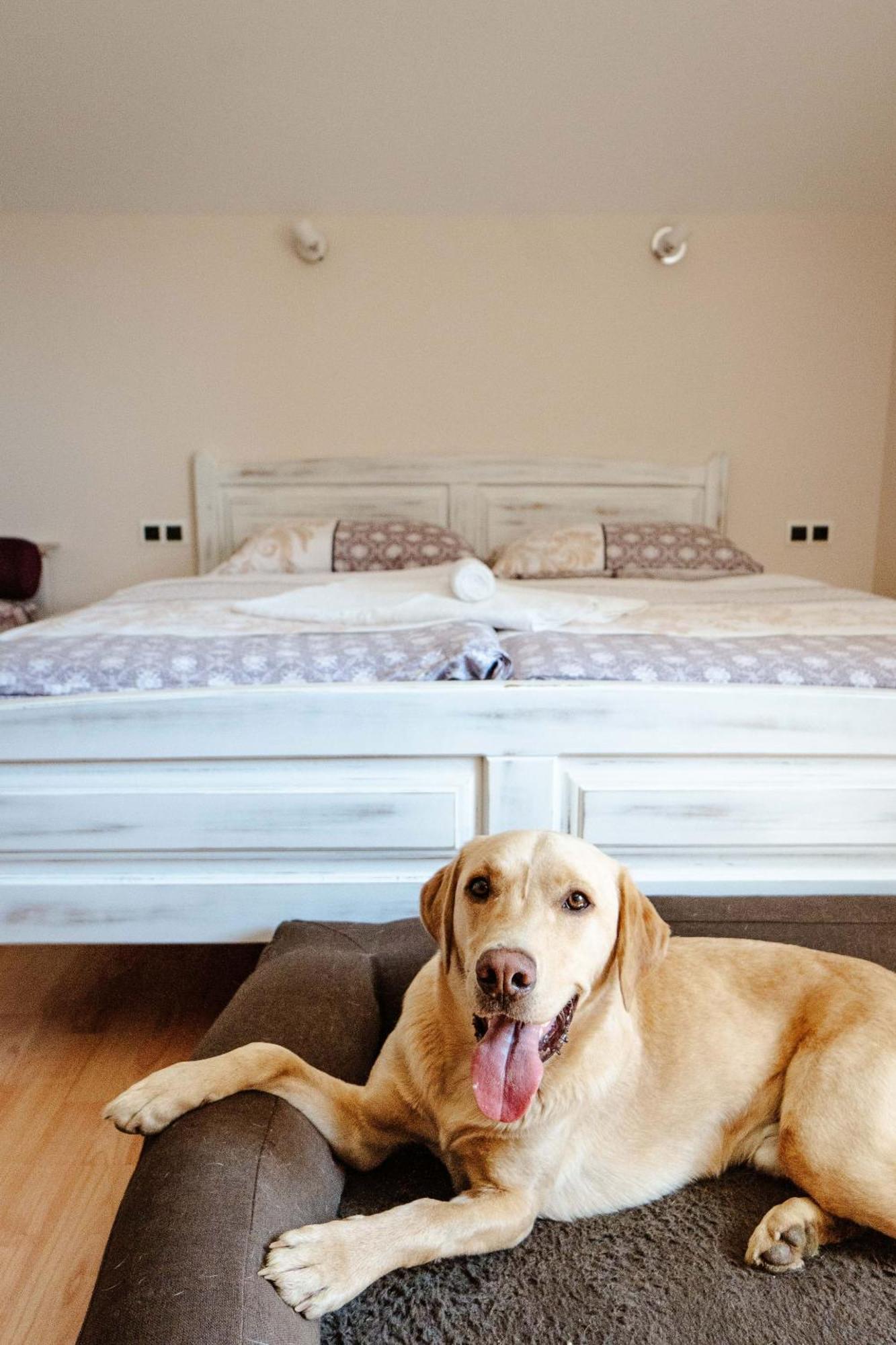 Zelena Oaza - B&B Miklavz pri Ormozu Luaran gambar